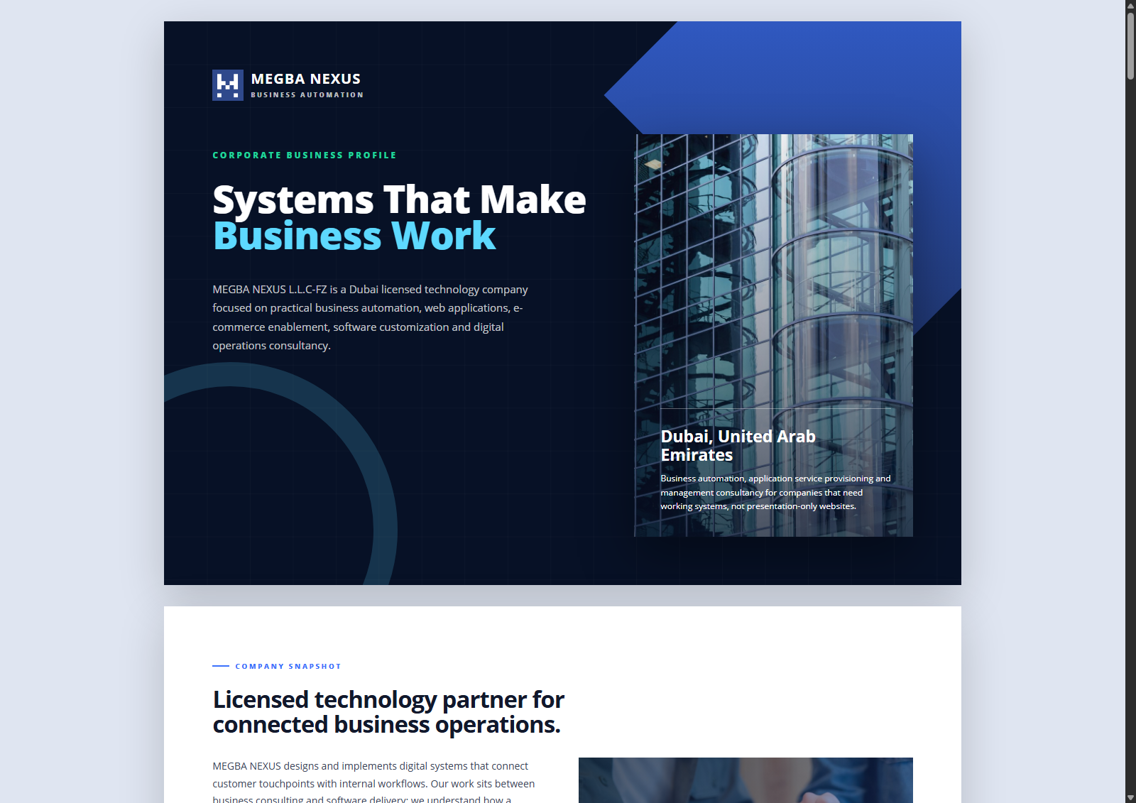 MEGBA NEXUS business profile preview